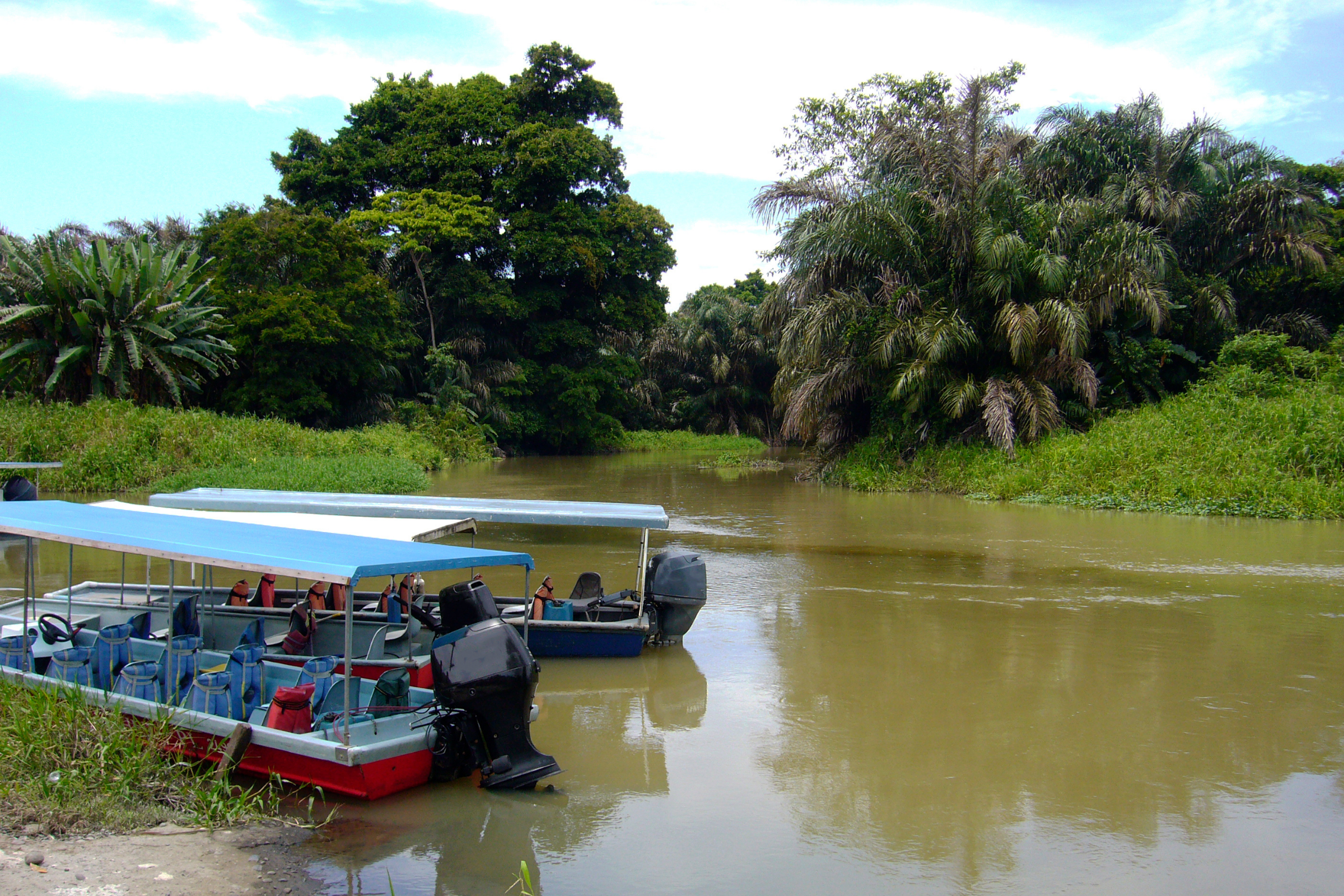 tortuguero (2).webp